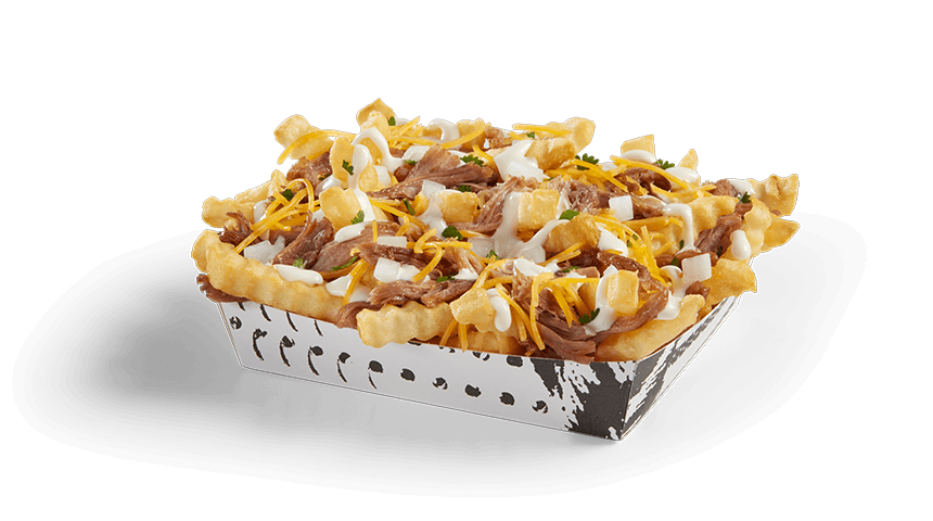 CARNITAS LOADED FRIES